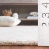 SAFAVIEH Area Rug 8×10 – Anatolia Collection – Large – Beige & Black, Handmade Floral Scroll Design, Ideal for Living Room, Bedroom, Office, Dining Space (AN401B)(Ivory)