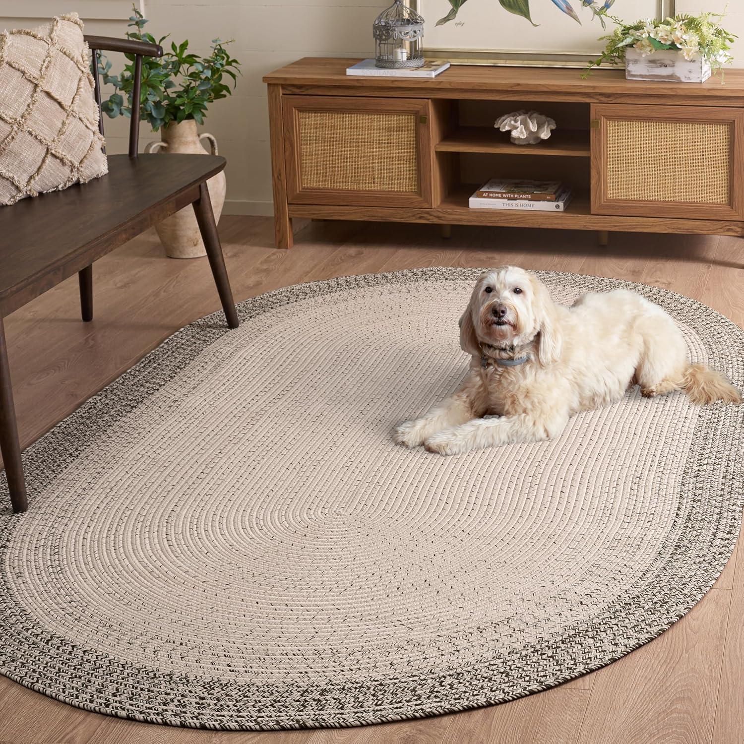 image:imageSAFAVIEH Washable Rug Outdoor Braided Collection 5 x 8 Ivory amp Aqua Handmade amp Reversible NonShedding amp Easy to Clean Ideal for Patio Backyard Mudroom BRA283JIvoryGrey