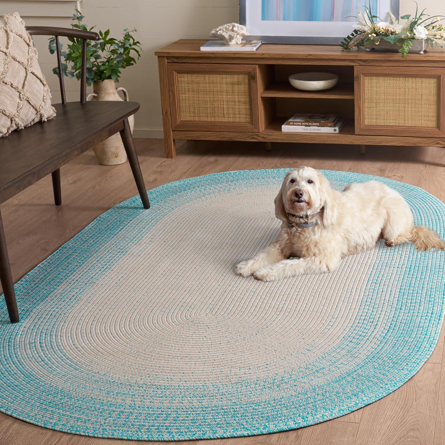 image:imageSAFAVIEH Washable Rug Outdoor Braided Collection 5 x 8 Ivory amp Aqua Handmade amp Reversible NonShedding amp Easy to Clean Ideal for Patio Backyard Mudroom BRA283JIvoryAqua