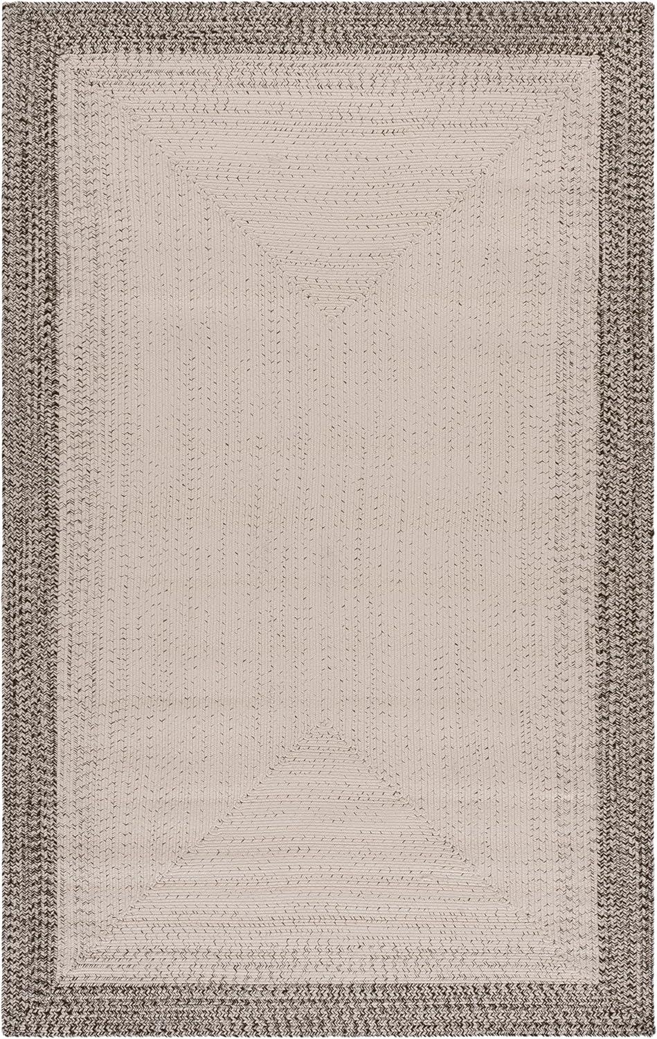 image:imageSAFAVIEH Washable Rug Outdoor Braided Collection 5 x 8 Ivory amp Aqua Handmade amp Reversible NonShedding amp Easy to Clean Ideal for Patio Backyard Mudroom BRA283JIvoryGrey
