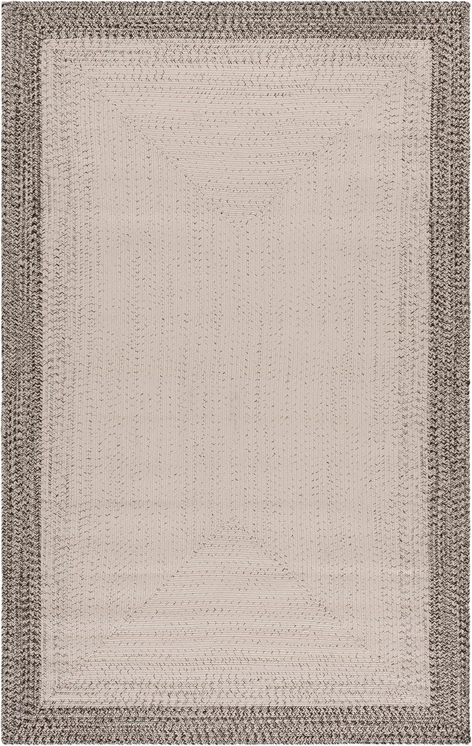 image:imageSAFAVIEH Washable Rug Outdoor Braided Collection 5 x 8 Ivory amp Aqua Handmade amp Reversible NonShedding amp Easy to Clean Ideal for Patio Backyard Mudroom BRA283JIvoryGrey