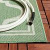 SAFAVIEH Washable Rug Outdoor Bermuda Collection – 8′ x 10′, Ivory & Charcoal, Non-Shedding & Easy to Clean, Ideal for Patio, Backyard, Mudroom (BMU810A)(Green/Ivory)