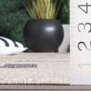 SAFAVIEH Washable Rug Outdoor Milos Collection – 5′ x 7’6″, Beige, Non-Shedding & Easy to Clean, Ideal for Patio, Backyard, Mudroom (MLO108B)(Beige/Grey)