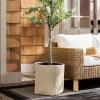 SAFAVIEH Outdoor – Cana Square Planter Pot with Drainage – Beige Cement & Bamboo – Weather Resistant – Ideal for Patio, Garden, Backyard, 15.7″ Wx 15.7″ D x 15.7″ H (PAT1408B)(Beige)