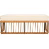 SAFAVIEH Outdoor Collection Bola Natural Brown Faux Rattan/Beige Cushion Bench (Fully Assembled)