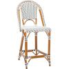 SAFAVIEH Outdoor Collection California White Bistro Woven Coastal 25-inch Counter Stool (Fully Assembled)(White/Navy)