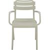 SAFAVIEH Outdoor Patio Furniture Collection – Sarah Green Stacking Dining Armchair Set of 2, Fully Assembled Outdoor Chairs, Modern Slatted Design, Weather-Resistant Patio Seating (PAT4703D-SET2)(Green)