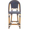 SAFAVIEH Outdoor Collection California White Bistro Woven Coastal 25-inch Counter Stool (Fully Assembled)(Navy)