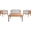 SAFAVIEH Outdoor Collection Kinnell Grey/Beige Cushion Solid Wood 4-Piece Conversation Patio Set(Natural/Light Grey)