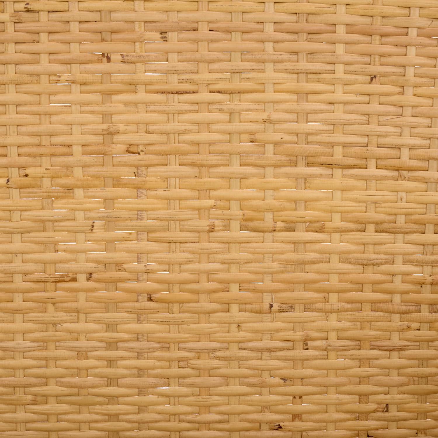 image:imageSAFAVIEH Home Collection Alyona Natural Rattan Arm Chair Sculptural Design Tropical Coastal Accent Seating Fully Assembled ACH6700ANatural