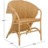 SAFAVIEH Home Collection – Alyona Natural Rattan Arm Chair, Sculptural Design, Tropical Coastal Accent Seating, Fully Assembled (ACH6700A)(Natural)