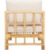 SAFAVIEH Home Collection Aisling Tropical White/Natural Accent Chair with Cushion (Fully Assembled)