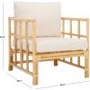 SAFAVIEH Home Collection Aisling Tropical White/Natural Accent Chair with Cushion (Fully Assembled)