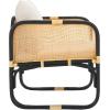 SAFAVIEH Home Collection Alybeth Tropical White/Black Accent Chair with Cushion (Fully Assembled)(White/Black)