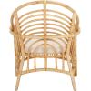 SAFAVIEH Home Collection Aragorn Tropical White/Natural Accent Chair with Cushion (Fully Assembled)(White/Natural)