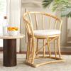 SAFAVIEH Home Collection Bates Tropical Coastal Natural/White Rattan Cushion Accent Chair (Fully Assembled)(White/Natural)