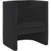SAFAVIEH Home Collection Eydis Modern Light Grey Velvet Barrel Back Accent Chair (Fully Assembled)(Black)