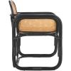 SAFAVIEH Home Collection Nadie Tropical Coastal Black/Natural Rattan Accent Chair (Fully Assembled)(Black/Natural)
