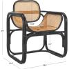 SAFAVIEH Home Collection Nadie Tropical Coastal Black/Natural Rattan Accent Chair (Fully Assembled)(Black/Natural)