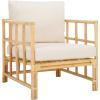 SAFAVIEH Home Collection Aisling Tropical White/Natural Accent Chair with Cushion (Fully Assembled)