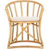 SAFAVIEH Home Collection Bates Tropical Coastal Natural/White Rattan Cushion Accent Chair (Fully Assembled)(White/Natural)