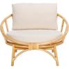 SAFAVIEH Home Collection Gwyneth Tropical White/Natural Accent Chair with Cushion (Fully Assembled)