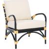 SAFAVIEH Home Collection Meara Tropical Coastal Black Rattan Accent Chair with Cushion (Fully Assembled)
