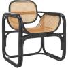 SAFAVIEH Home Collection Nadie Tropical Coastal Black/Natural Rattan Accent Chair (Fully Assembled)(Black/Natural)