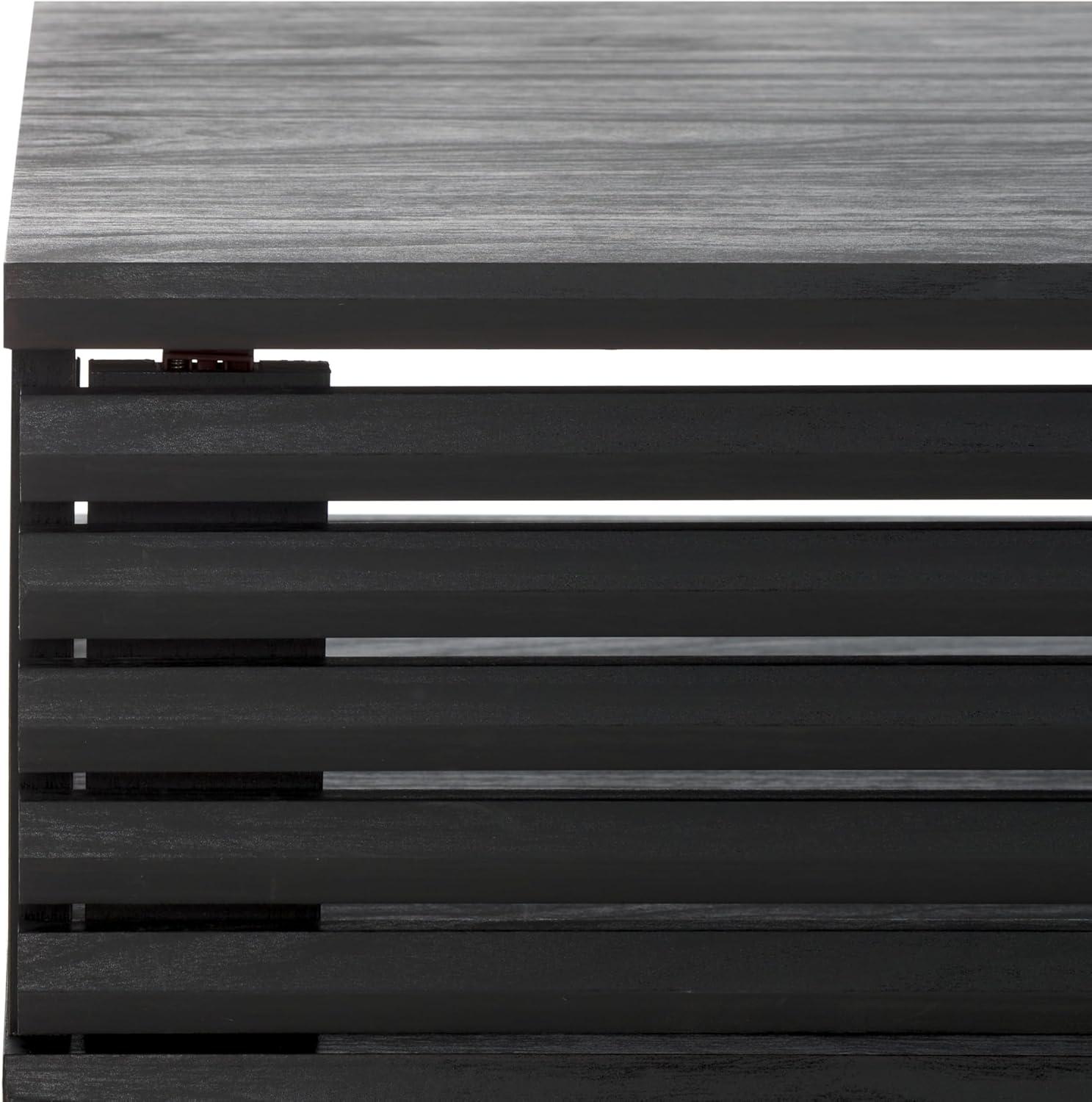 image:imageSAFAVIEH Home Collection Aricia Black 2Door Coffee TableBlack