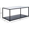 SAFAVIEH Home Collection Ackley Black Lower Shelf Living Room Coffee Table