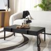 SAFAVIEH Home Collection Alexander Natural Brown/Black Rectangle Coffee Table(Black Stripe/Black)