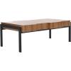 SAFAVIEH Home Collection Alexander Natural Brown/Black Rectangle Coffee Table(Brown/Black)