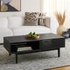 SAFAVIEH Home Collection Aricia Black 2-Door Coffee Table(Black)