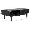 SAFAVIEH Home Collection Aricia Black 2-Door Coffee Table(Black)