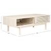 SAFAVIEH Home Collection Aricia Black 2-Door Coffee Table(Bleached White)