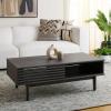 SAFAVIEH Home Collection Aricia Black 2-Door Coffee Table(Distressed Black)