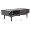 SAFAVIEH Home Collection Aricia Black 2-Door Coffee Table(Distressed Black)