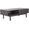 SAFAVIEH Home Collection Aricia Black 2-Door Coffee Table(Distressed Black)
