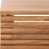 SAFAVIEH Home Collection Aricia Black 2-Door Coffee Table(Oak)