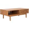 SAFAVIEH Home Collection Aricia Black 2-Door Coffee Table(Oak)