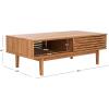 SAFAVIEH Home Collection Aricia Black 2-Door Coffee Table(Oak)