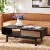 SAFAVIEH Home Collection Ceu Oak/Gold 2-Door Coffee Table(Black/Gold)