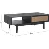 SAFAVIEH Home Collection Ceu Oak/Gold 2-Door Coffee Table(Black/Gold)