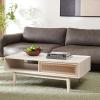 SAFAVIEH Home Collection Ceu Oak/Gold 2-Door Coffee Table(Bleached White/Gold)