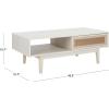 SAFAVIEH Home Collection Ceu Oak/Gold 2-Door Coffee Table(Bleached White/Gold)