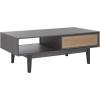 SAFAVIEH Home Collection Ceu Oak/Gold 2-Door Coffee Table(Distressed Black/Gold)