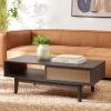 SAFAVIEH Home Collection Ceu Oak/Gold 2-Door Coffee Table(Distressed Black/Gold)