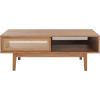 SAFAVIEH Home Collection Ceu Oak/Gold 2-Door Coffee Table(Oak/Gold)