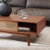 SAFAVIEH Home Collection Ceu Oak/Gold 2-Door Coffee Table(Walnut/Gold)