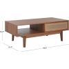 SAFAVIEH Home Collection Ceu Oak/Gold 2-Door Coffee Table(Walnut/Gold)
